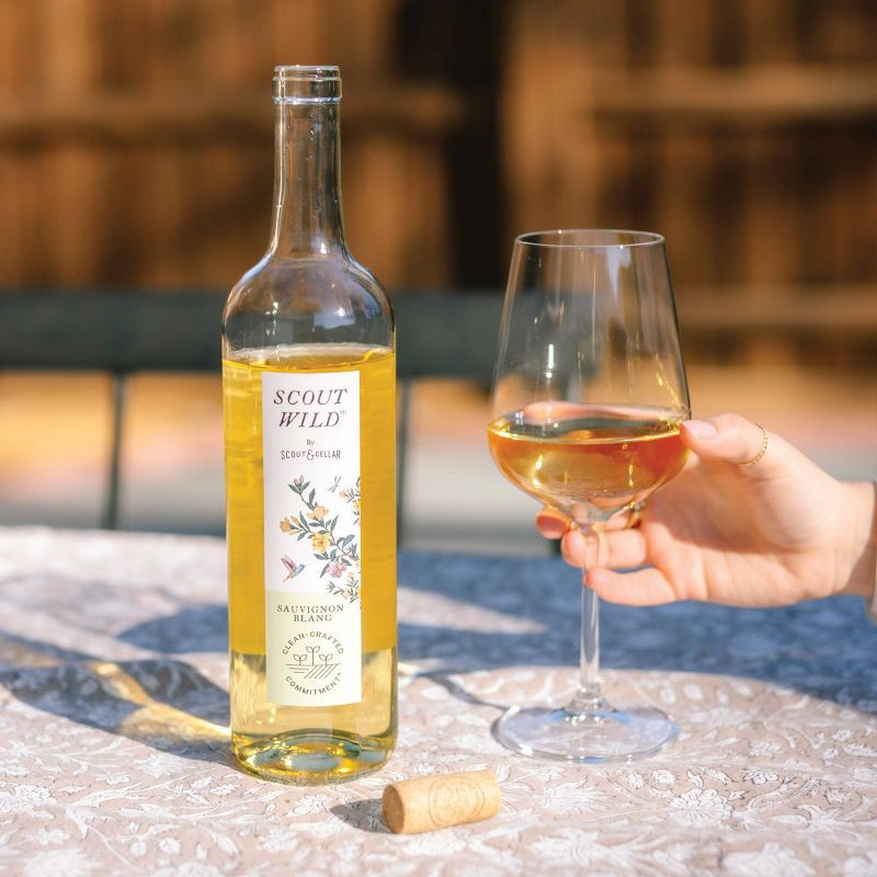 slide 2 of 3, Scout Wild Sauvignon Blanc - 750ml Bottle, 750 ml