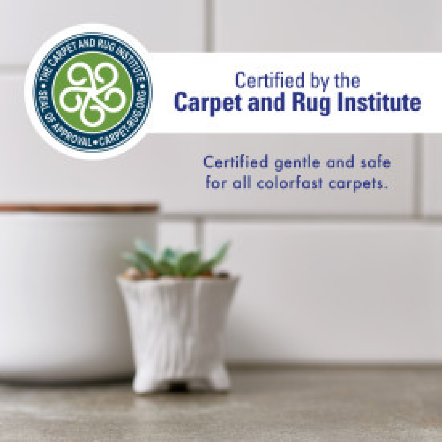 slide 8 of 8, Rocco & Roxie Supply Co. Rocco Roxie Stain Odor Elim Spray 32oz, 32 fl oz