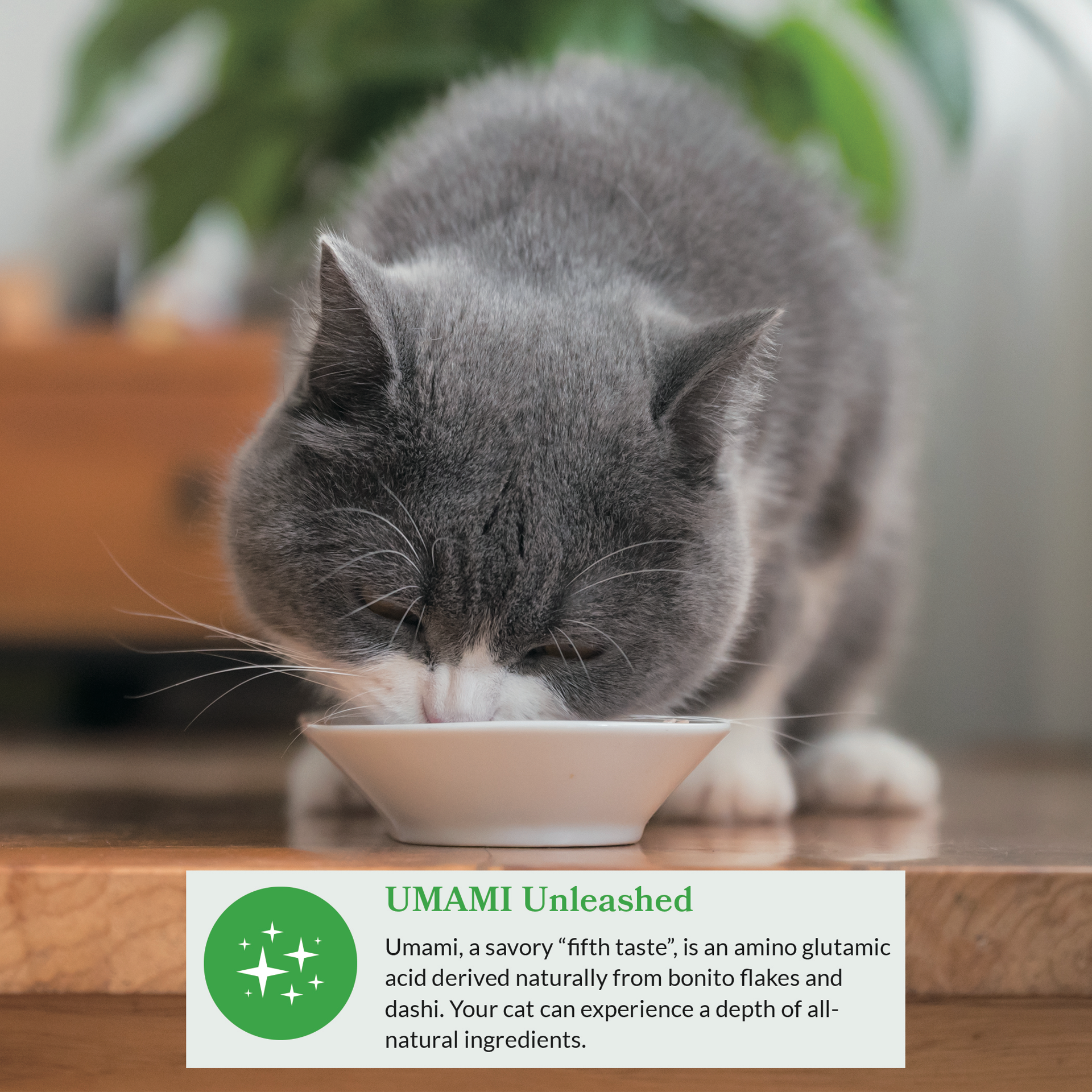 slide 4 of 9, Inaba Dashi Delights for Cats, Shredded Chicken with Bonito Flake Broth, 2.5 Ounce Cup, 12 Cups Total, Chicken Variety, 12 ct