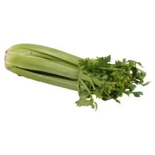 Celery