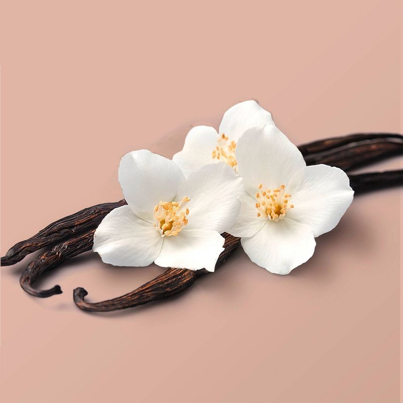 slide 5 of 5, Beloved Coconut & Warm Vanilla 2-Wick Candle 11.5oz, 11.5 oz