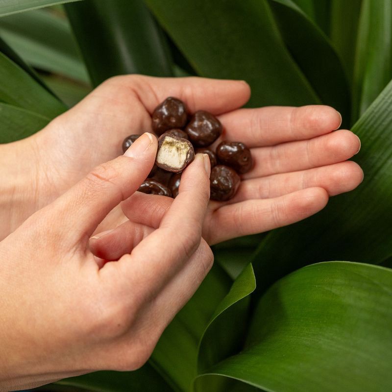 slide 5 of 9, Tru Fru Freeze Dried Bananas in Dark Chocolate - 3.4 oz, 3.4 oz