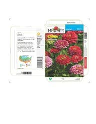 Burpee Heirloom Exquisite Zinnia Seeds