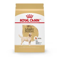 Royal Canin Breed Health Nutrition Labrador Retriever Adult Dry Dog Food