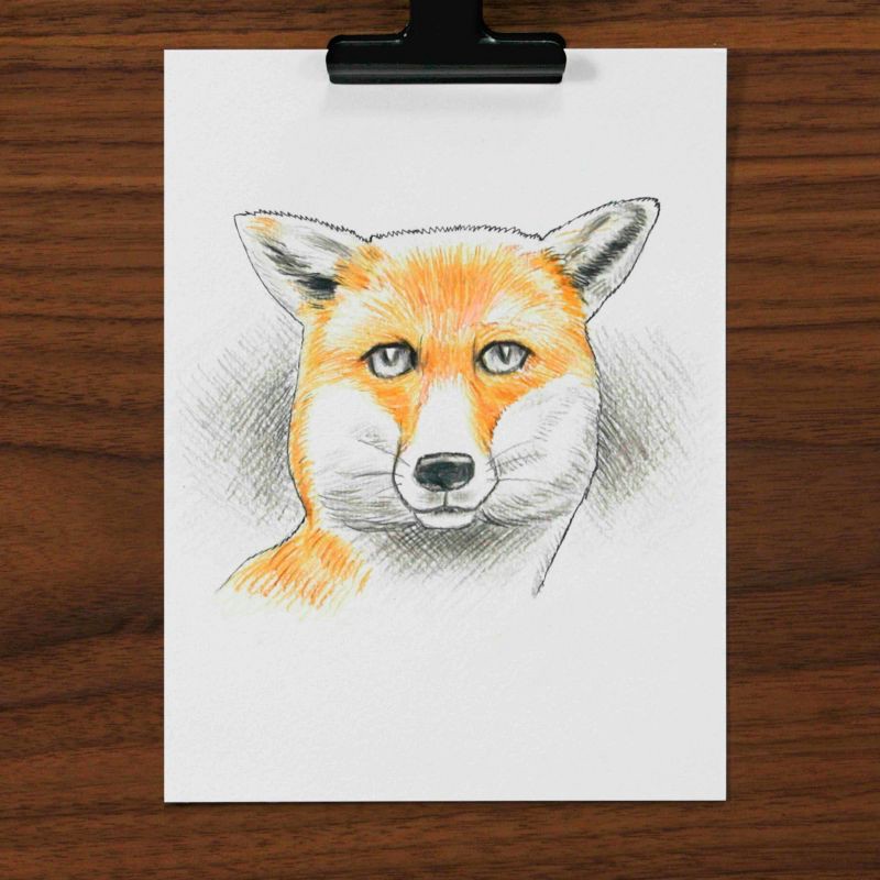 Prismacolor Technique 26pk Animal Drawing Pencils With Digital Lessons :  Target