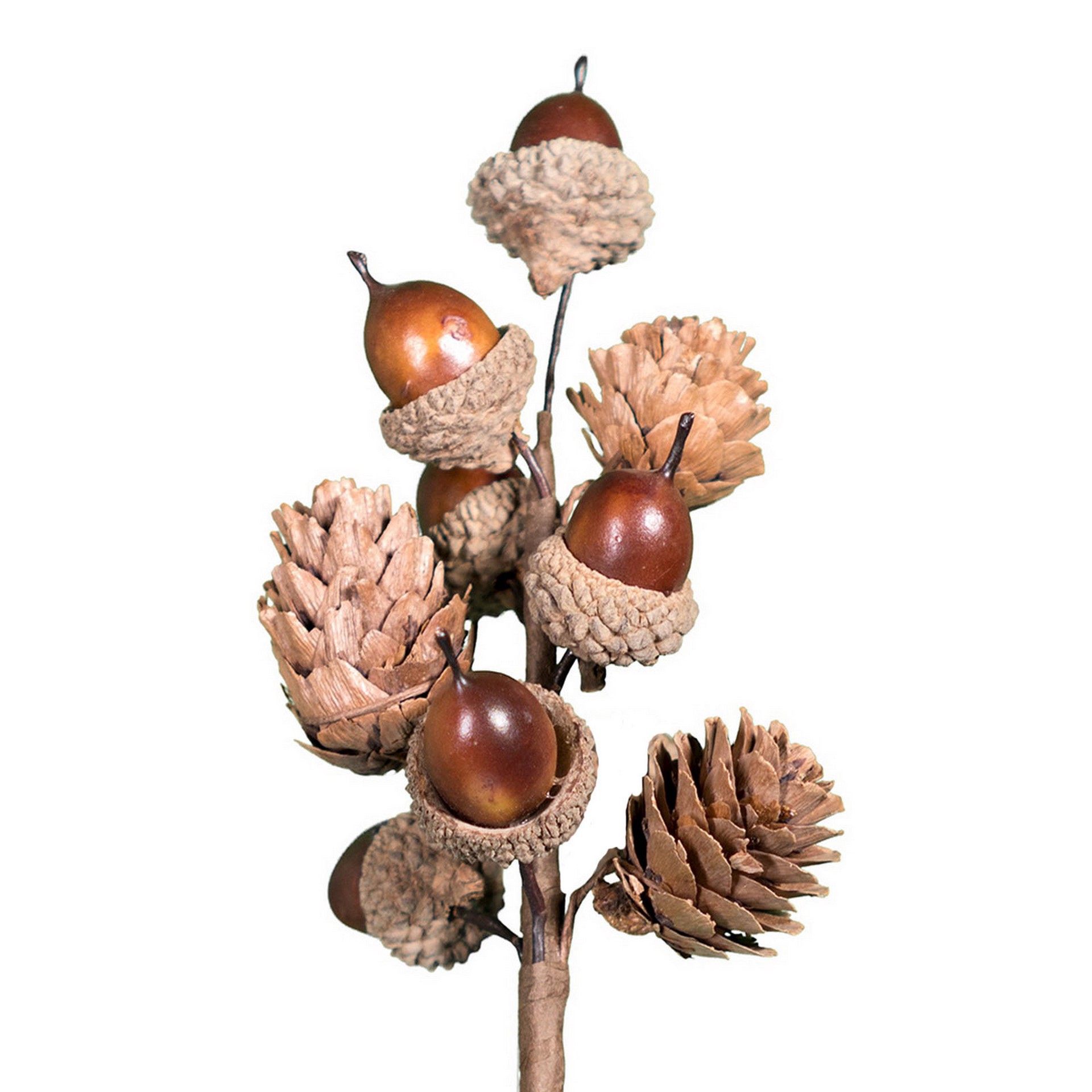 slide 2 of 3, 8" Acorn Pick By Ashland, 8 in