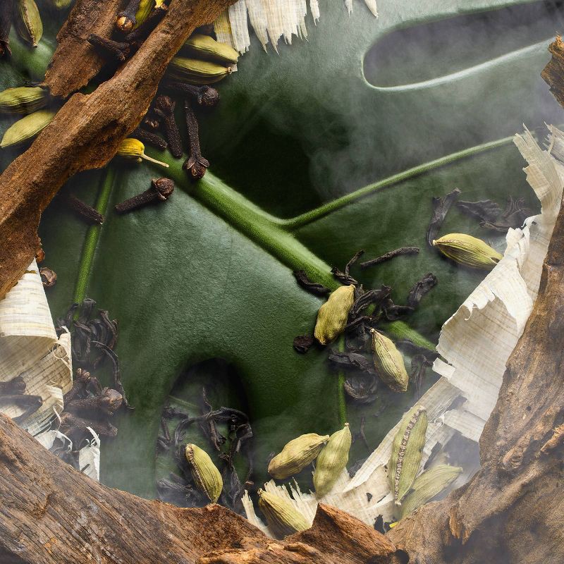 slide 4 of 5, fine'ry. Body Mist Women's Fragrance Spray - Jungle Santal - 5 fl oz, 5 fl oz