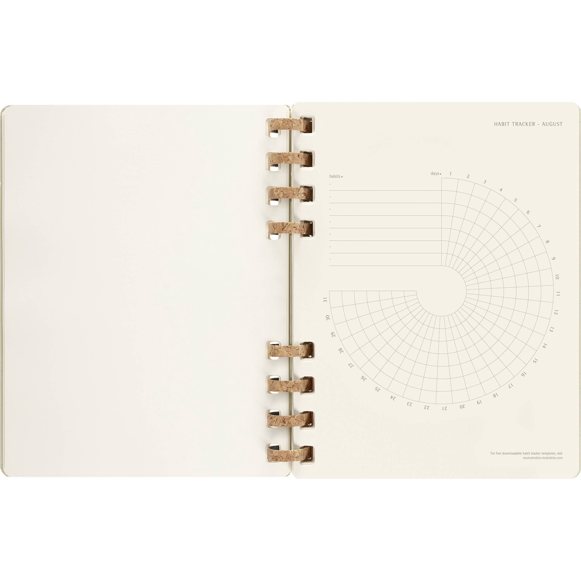 Moleskine Academic Spiral Planner X Kiwi Ct Shipt