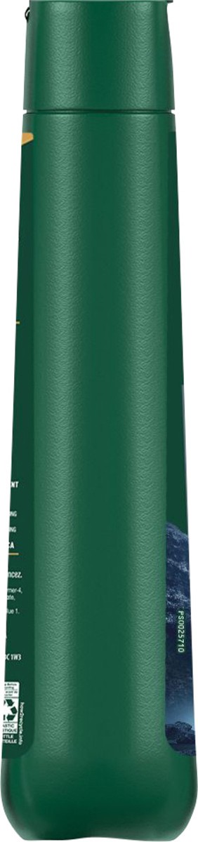 slide 9 of 11, Irish Spring Charcoal Refresh Moisturizing Face + Body Wash 20 fl oz, 20 fl oz