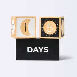 Milestone Blocks - Black and White - Cloud Island™