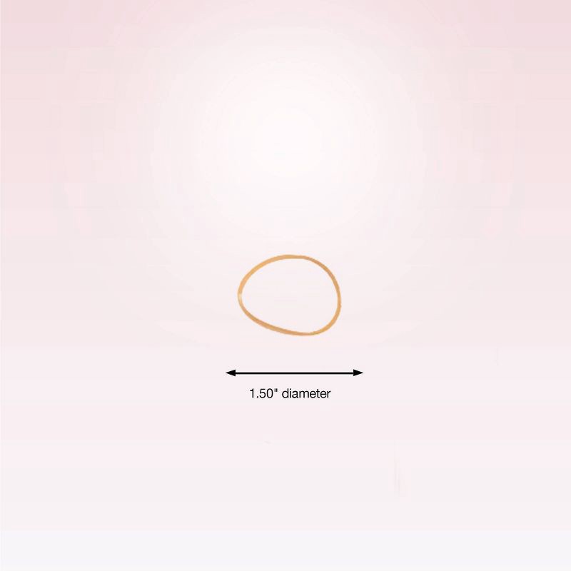 slide 2 of 7, scunci scünci Polybands and Reusable Pouch - Neutrals - All Hair - 450pcs, 450 ct