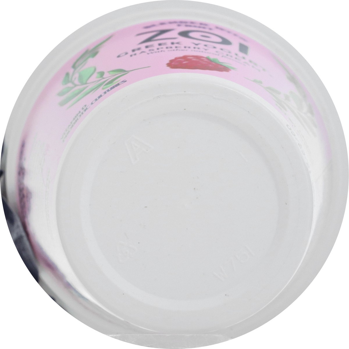 slide 9 of 12, Zoi Blended Greek Raspberry Cream Yogurt 6 oz, 6 oz