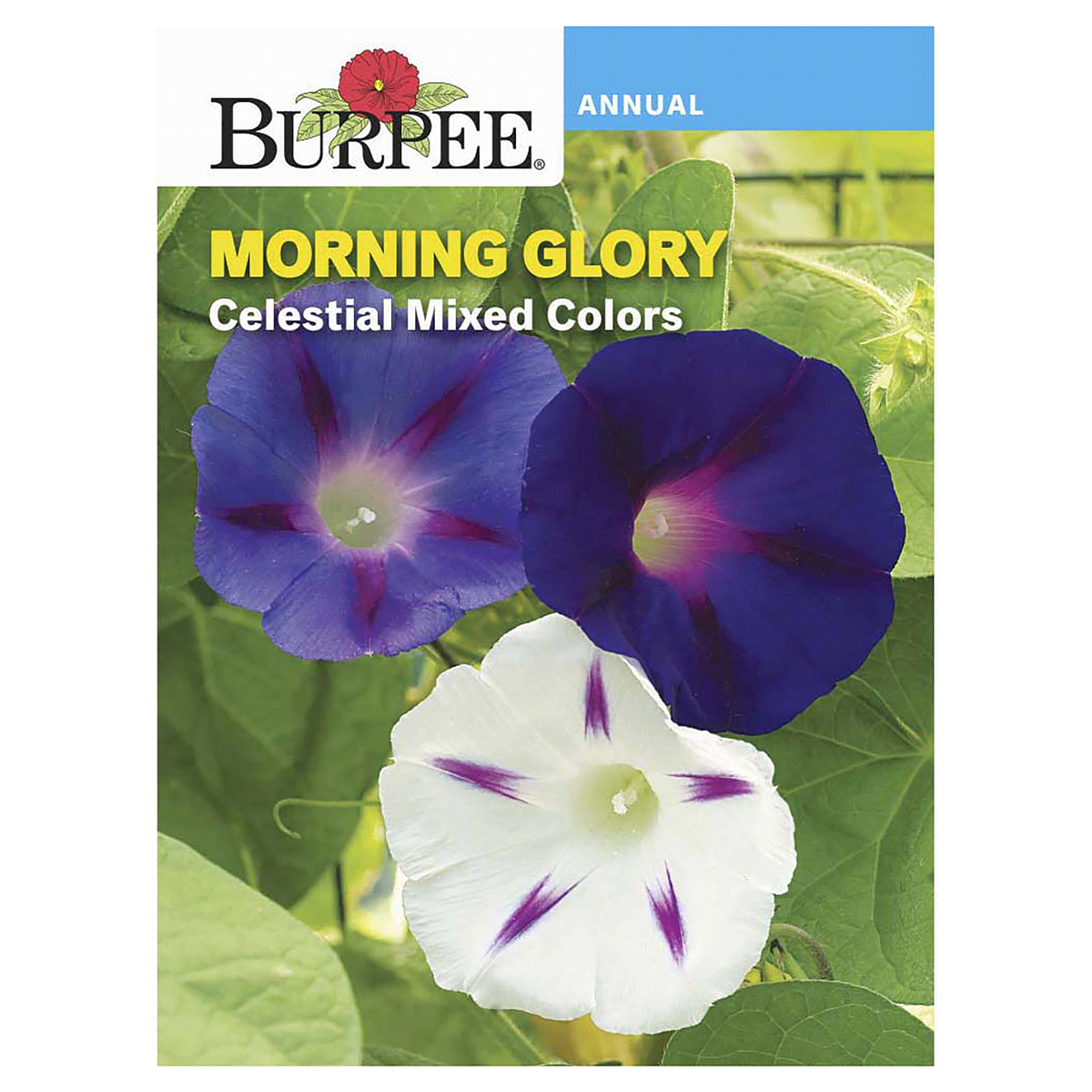 slide 1 of 5, Burpee Morning Glory Celestial Mix Seeds, 1 ct