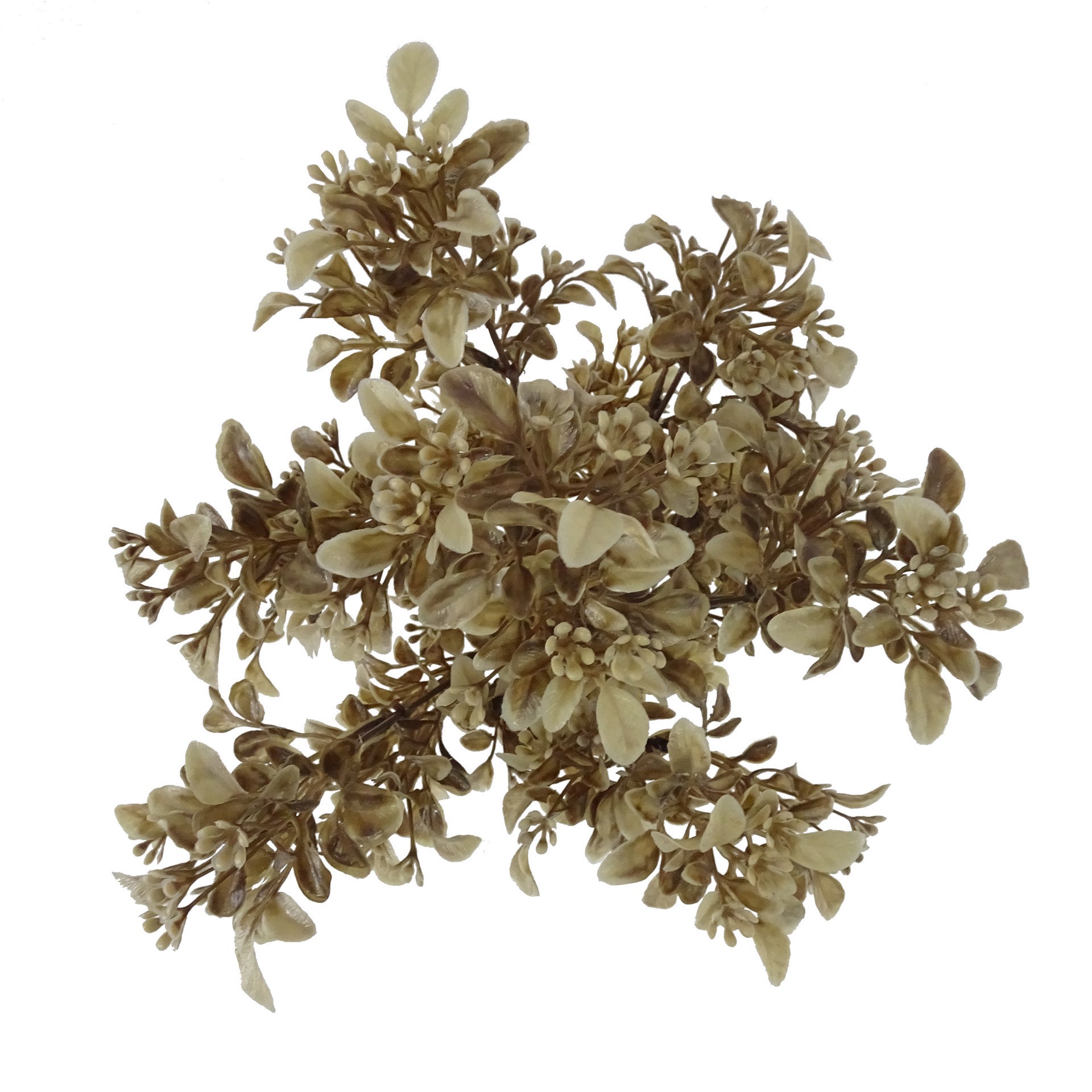 slide 2 of 2, 17" Eucalyptus Bush By Ashland, 8 in x 8 in x 17 in