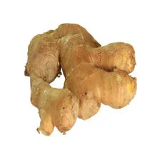 Ginger Root