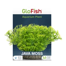 GloFIsh Java Moss Medium Aquarium Plant
