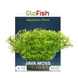 GloFIsh Java Moss Medium Aquarium Plant