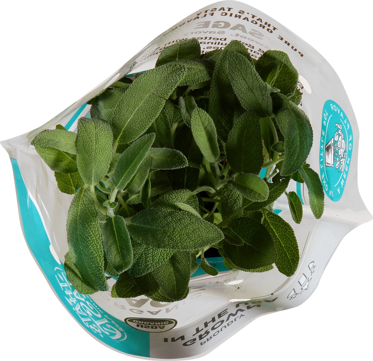 slide 9 of 11, That's Tasty Soli Italian Parsley, 0.5 oz