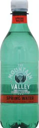 Mountain Valley Water, Spring - 1/2 liter