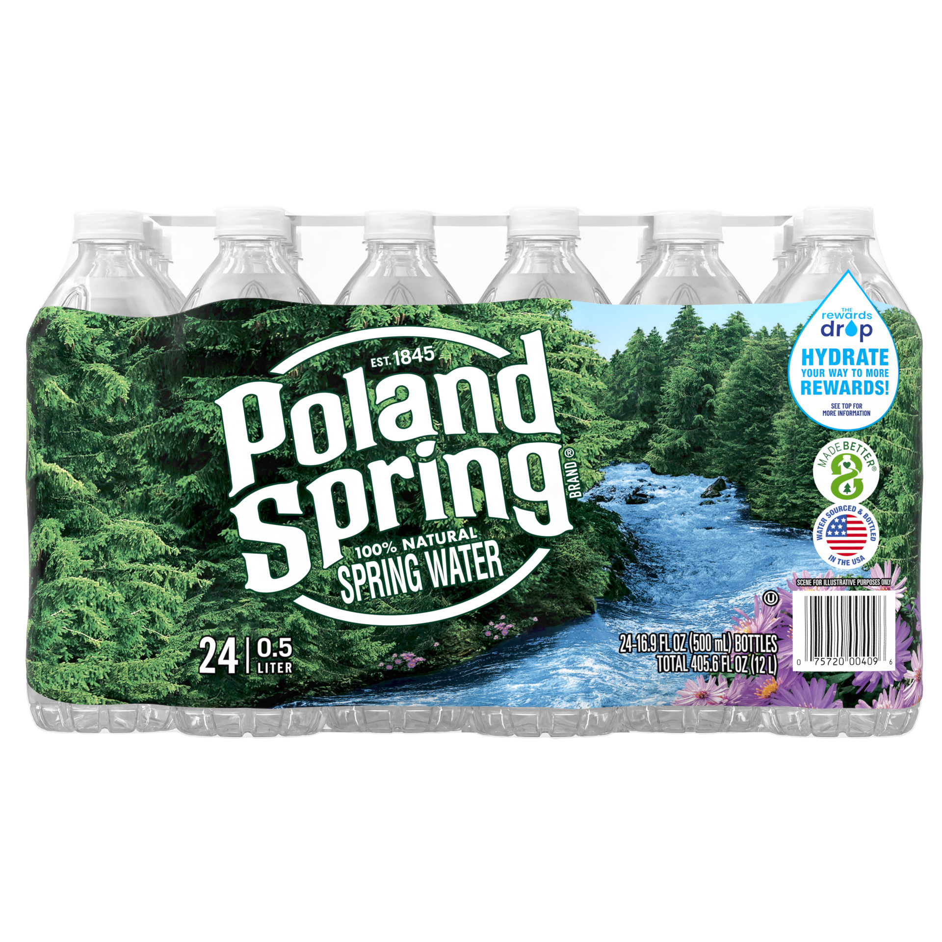 slide 1 of 8, Poland Spring Brand 100% Natural Spring Water, 16.9-ounce plastic bottles (Pack of 24), 16.9 fl oz