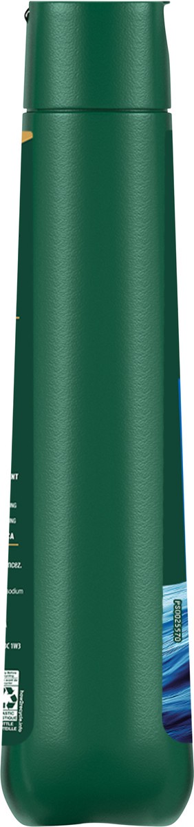 slide 2 of 11, Irish Spring Body Wash for Men, Moisture Blast Body Wash, 20 Oz, 20 fl oz