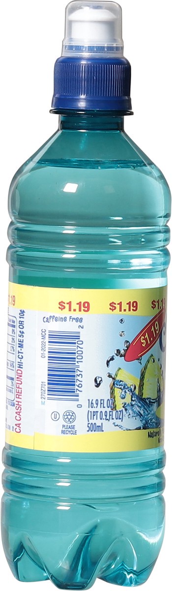 slide 13 of 14, Clear Fruit Non-Carbonated Pineapple Water Beverage 16.9 fl oz, 16.9 fl oz