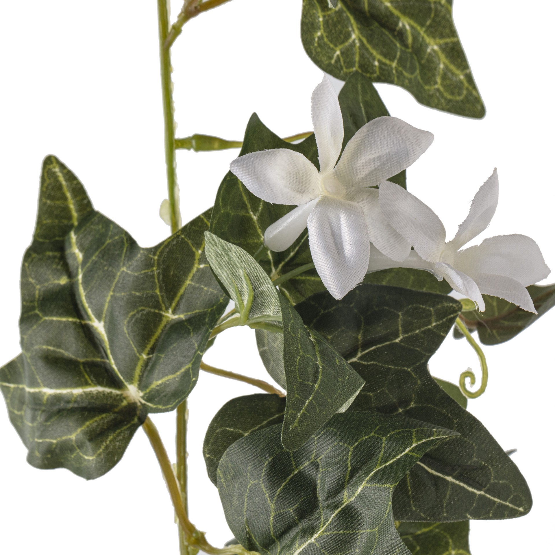 slide 2 of 4, 6ft. English Ivy Garland By Ashland, 6 ft