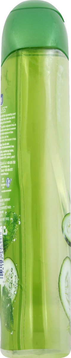 slide 3 of 6, Softsoap Hydra Bliss Body Wash, Cucumber Water & Mint, 15 oz