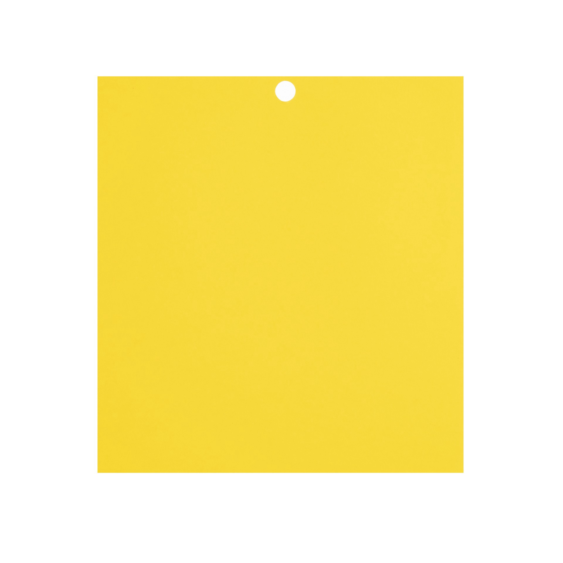 slide 5 of 8, Primary 6" X 6.5" Cardstock Paper By Recollections, 100 Sheets, 6 in x 6.5 in