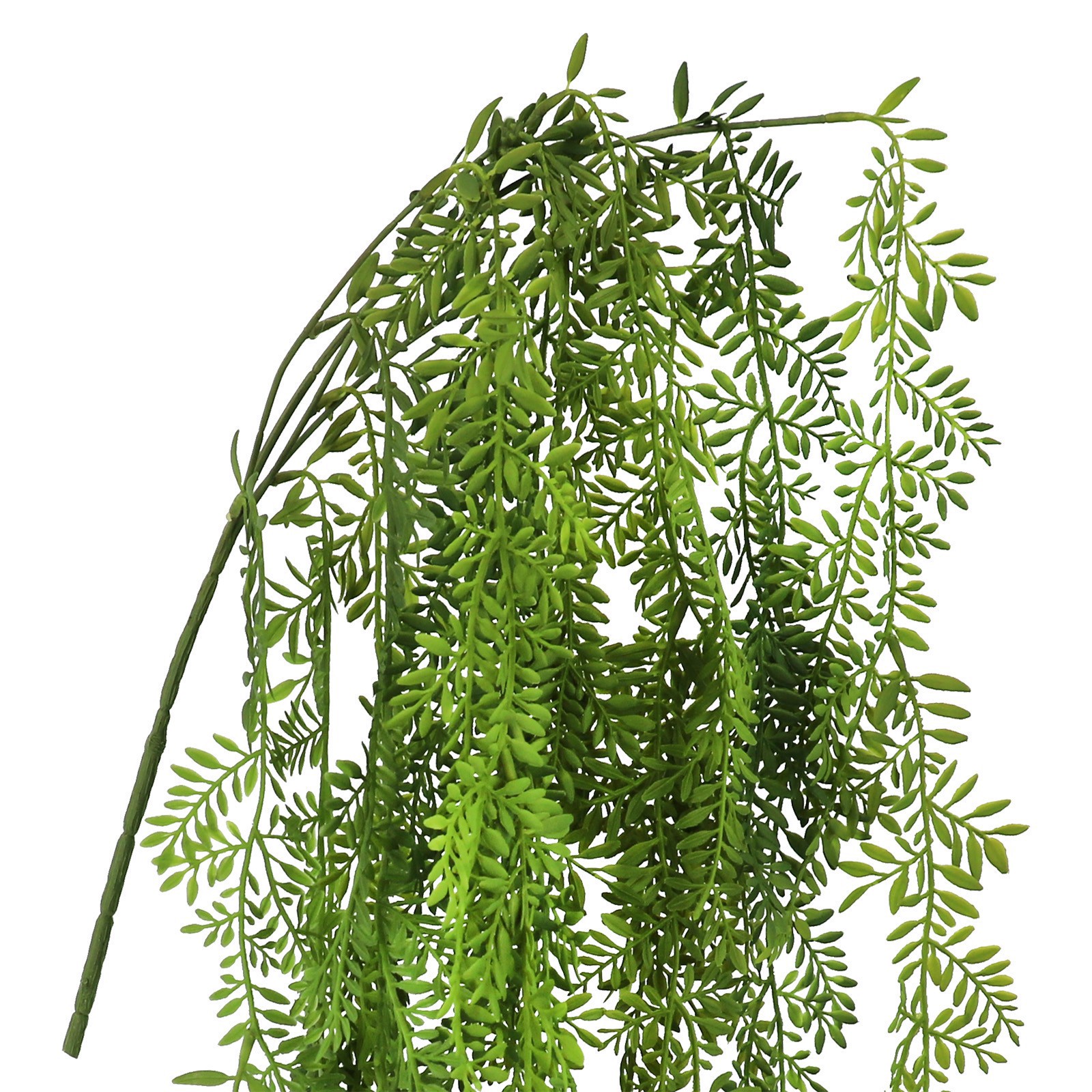 slide 2 of 2, 26" Hanging Ficus Bush By Ashland, 10 in x 10 in x 26 in