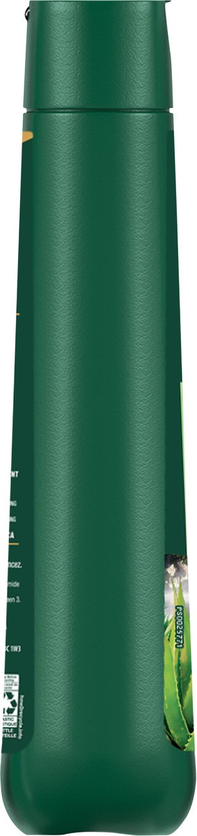 slide 4 of 8, Irish Spring Aloe Mist Body Wash for Men, 20 Oz, 20 fl oz