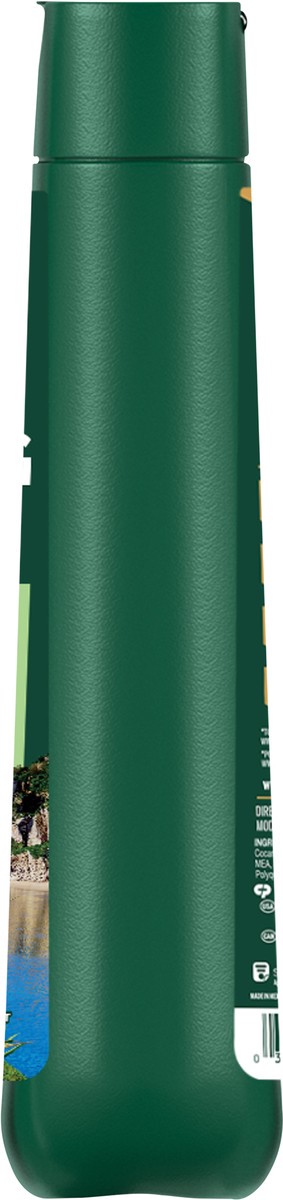 slide 2 of 8, Irish Spring Aloe Mist Body Wash for Men, 20 Oz, 20 fl oz