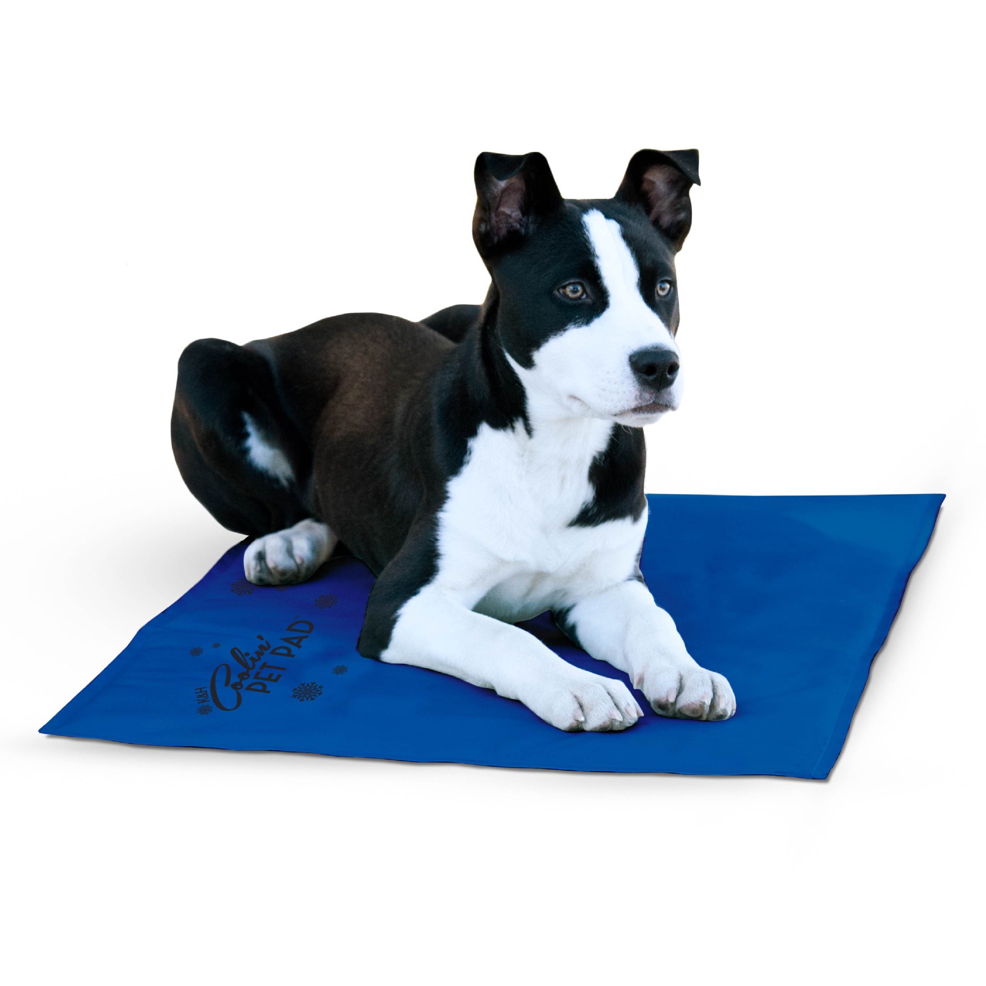 slide 1 of 9, K & H K&H Pet Products Coolin' Pet Pad Blue Large 20 X 36 Inches, 20 in x 36 in