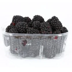 Sun Belle Organic Blackberries Prepacked