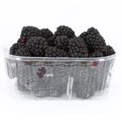 Sun Belle Organic Blackberries