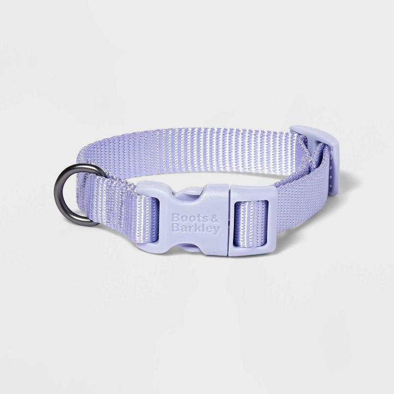 slide 1 of 3, Basic Dog Adjustable Collar with Color Matching Buckle - S - Lilac - Boots & Barkley™, 1 ct