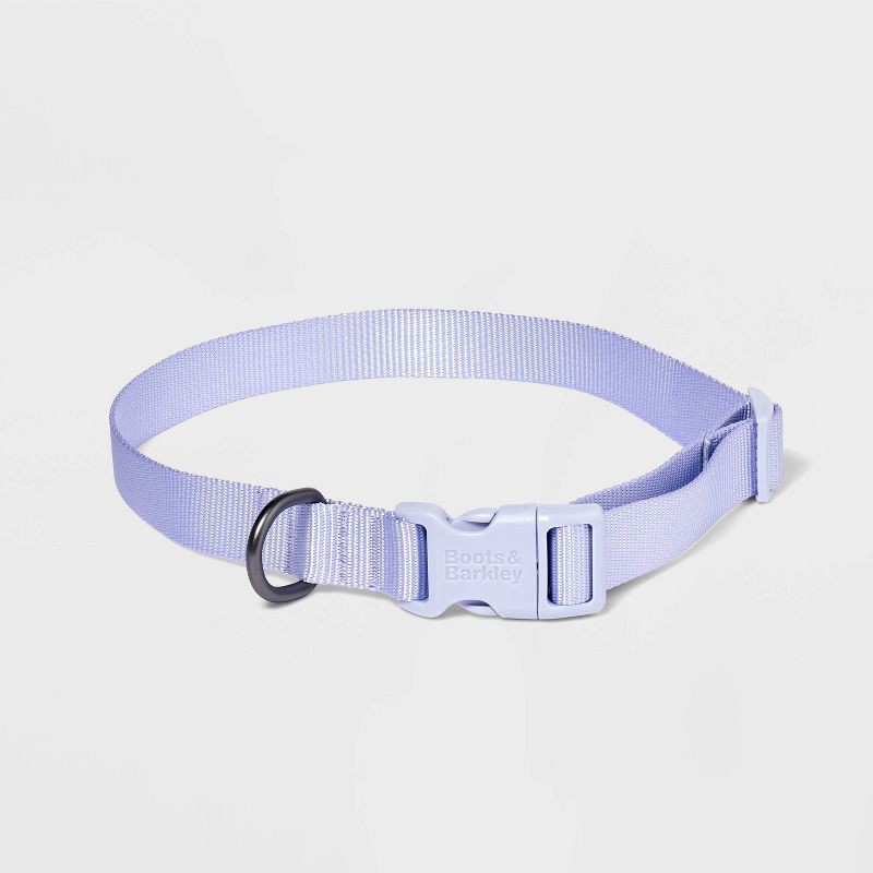 slide 1 of 3, Basic Dog Adjustable Collar with Color Matching Buckle - XL - Lilac - Boots & Barkley™, 1 ct