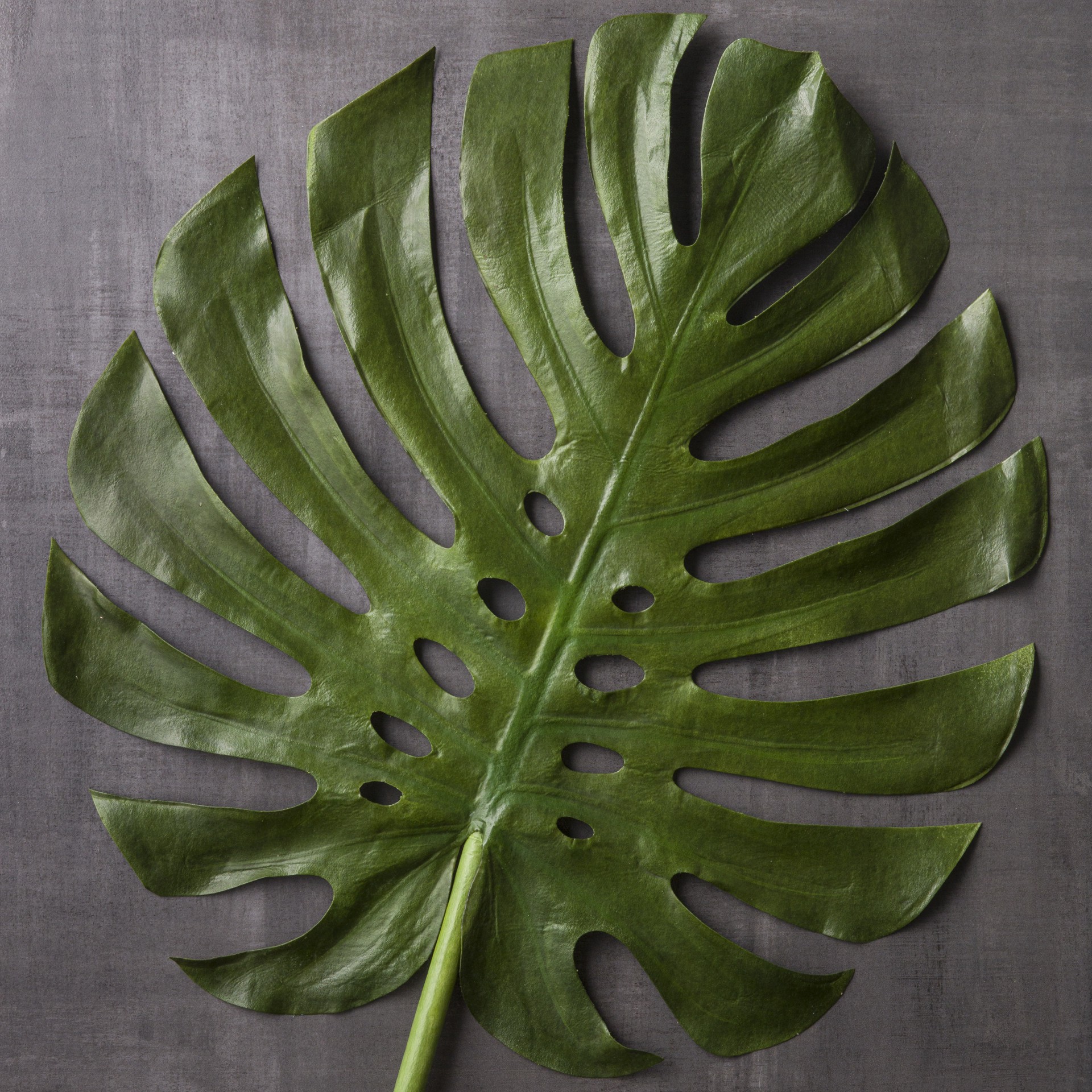 slide 2 of 3, Tropical Monstera Leaf Stem By Ashland, 34.5 in