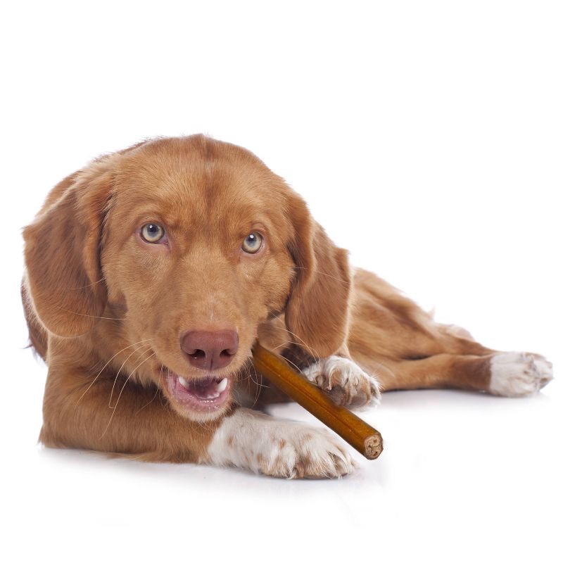slide 4 of 5, Cadet Bully Hide Sticks Beef Flavor Rawhide Dog Treats - S - 4.98oz/7ct, 4.98 oz, 7 ct