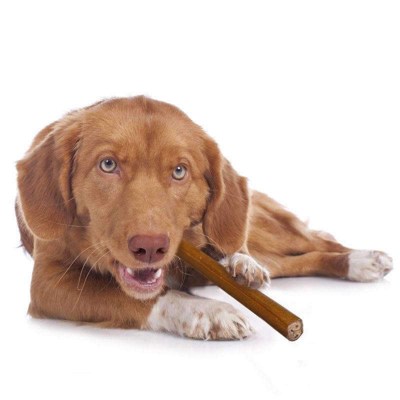 slide 4 of 5, Cadet Bully Beef Flavor Rawhide Sticks Dog Treat - L - 7.10oz/5ct, 7.10 oz, 5 ct