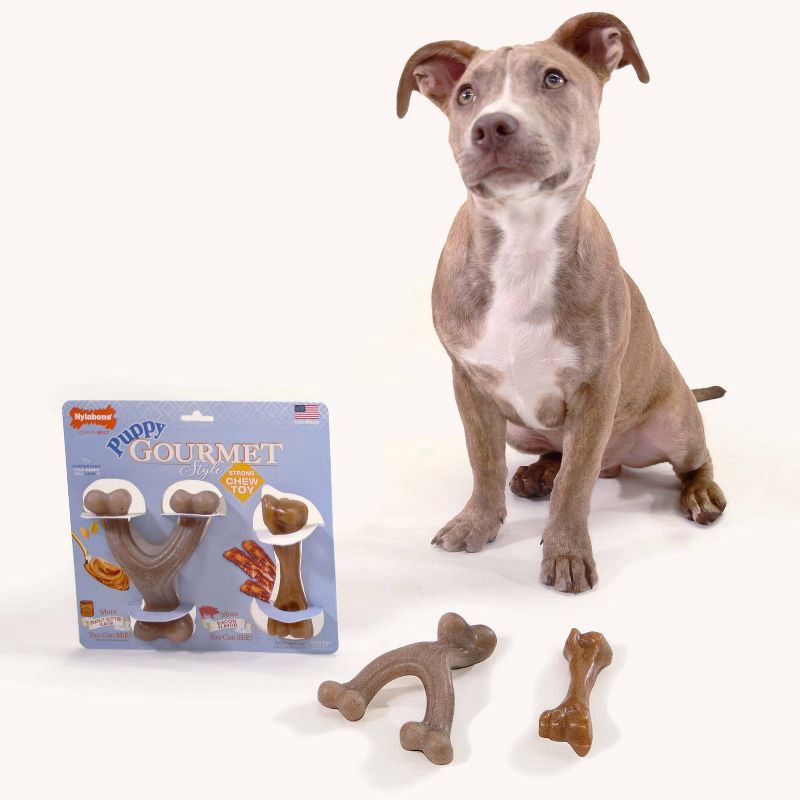 slide 4 of 4, Nylabone Gourmet Style Strong Puppy Bundle Chew Toy - Bacon Peanut Butter - Small - 2ct, 2 ct