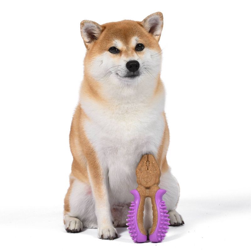 slide 4 of 5, Arm & Hammer Wood Mix Pliers Dog Toy - 7", 1 ct