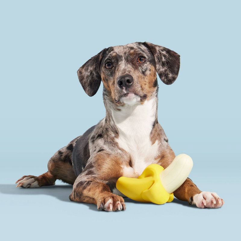 a dog squeaky toy Chicken Toy - Dog Toy - Loud Squeaker