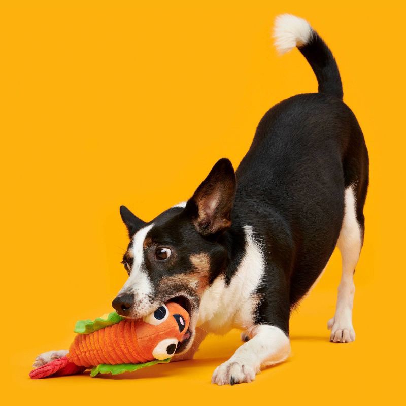 slide 4 of 6, BARK Eduardo The Shrimp Taco Dog Toy, 1 ct