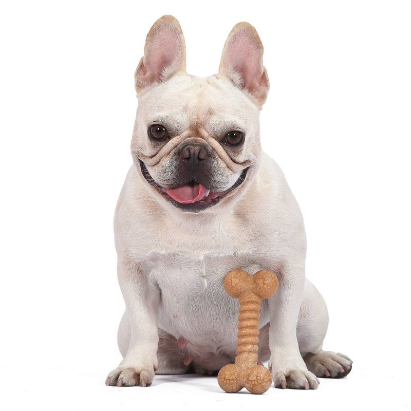 slide 5 of 6, Arm & Hammer PP+Pine Saw Dust Classic Bone Dog Toy - Peanut Butter Flavor - 5", 1 ct