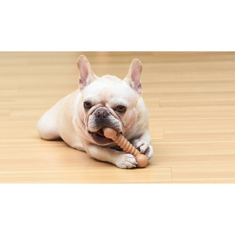 slide 6 of 6, Arm & Hammer PP+Pine Saw Dust Classic Bone Dog Toy - Peanut Butter Flavor - 5", 1 ct
