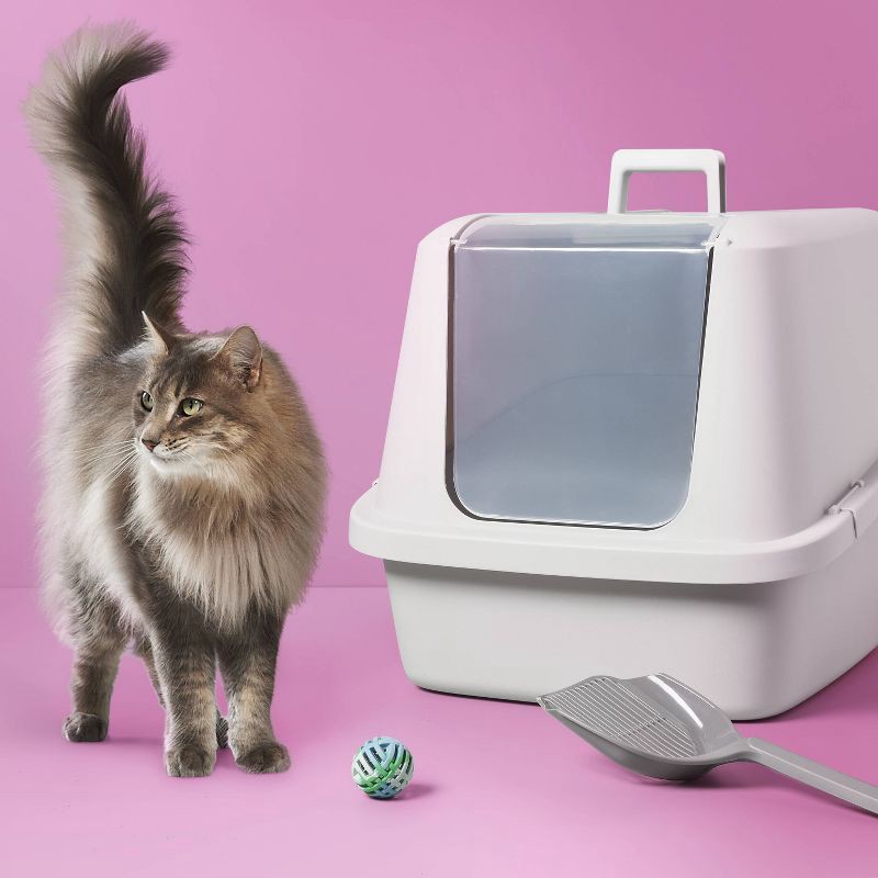 slide 2 of 3, Enclosed Cat Litter Box - Gray - XL - up&up™, 1 ct