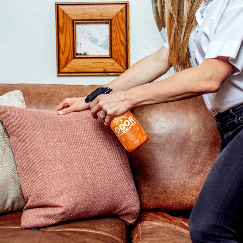 slide 4 of 7, Angry Orange Ready To Use Orange Scented Pet Odor Eliminator - 20 fl oz, 20 fl oz