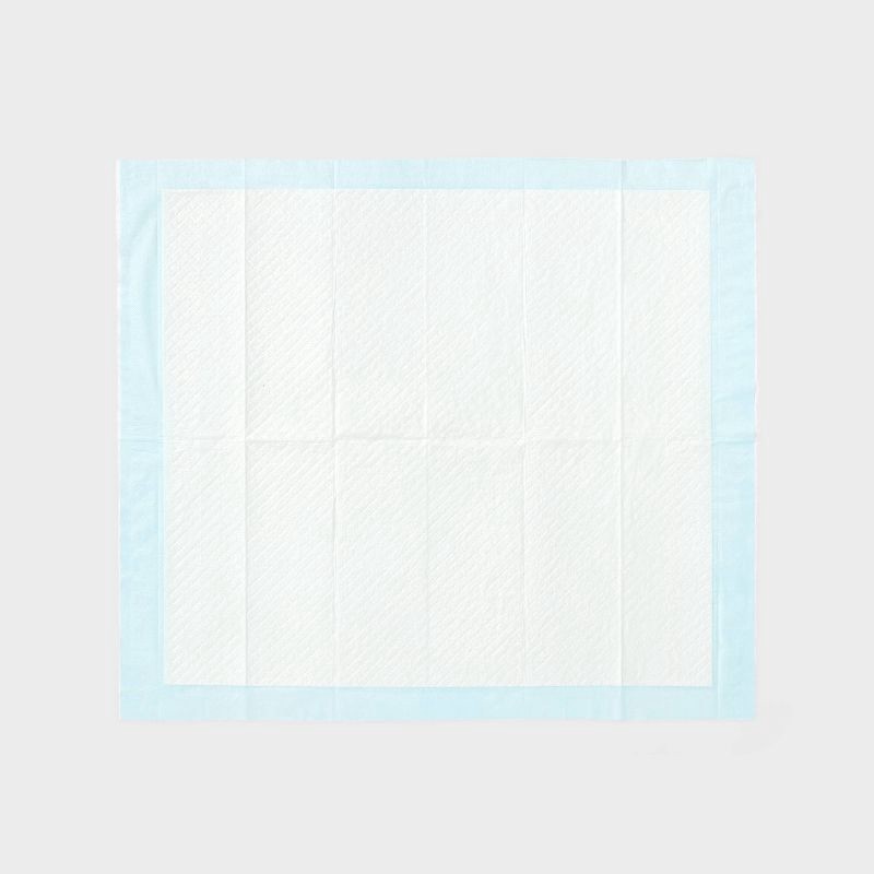 slide 3 of 5, Clean Scent Dog Training Pads - L - 50ct - up&up™, 50 ct