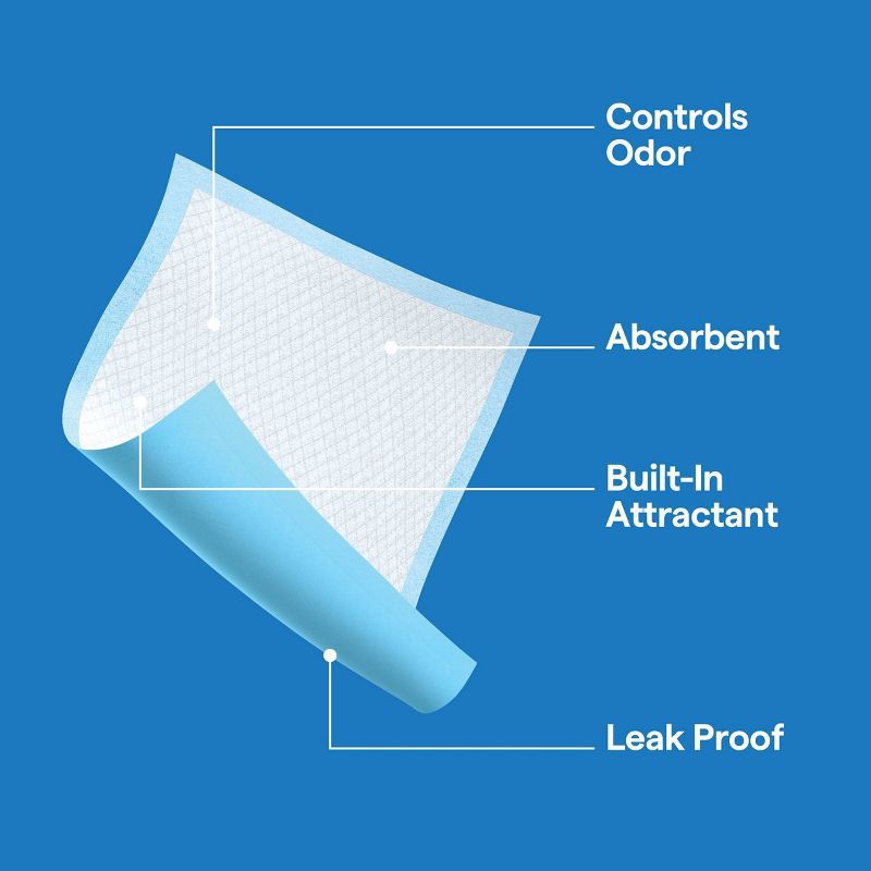 slide 5 of 5, Clean Scent Dog Training Pads - L - 50ct - up&up™, 50 ct